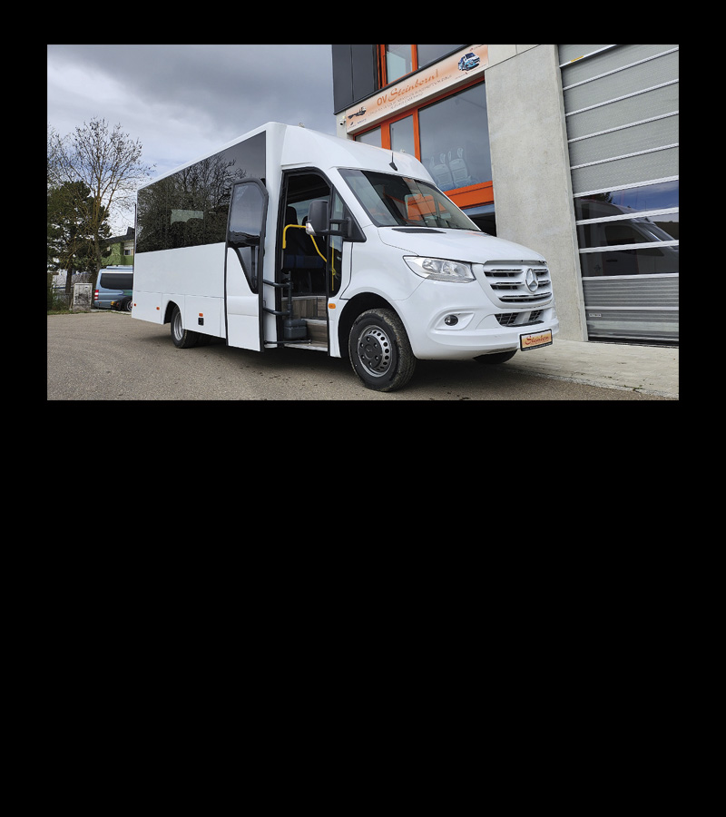 Especialistas en minibuses