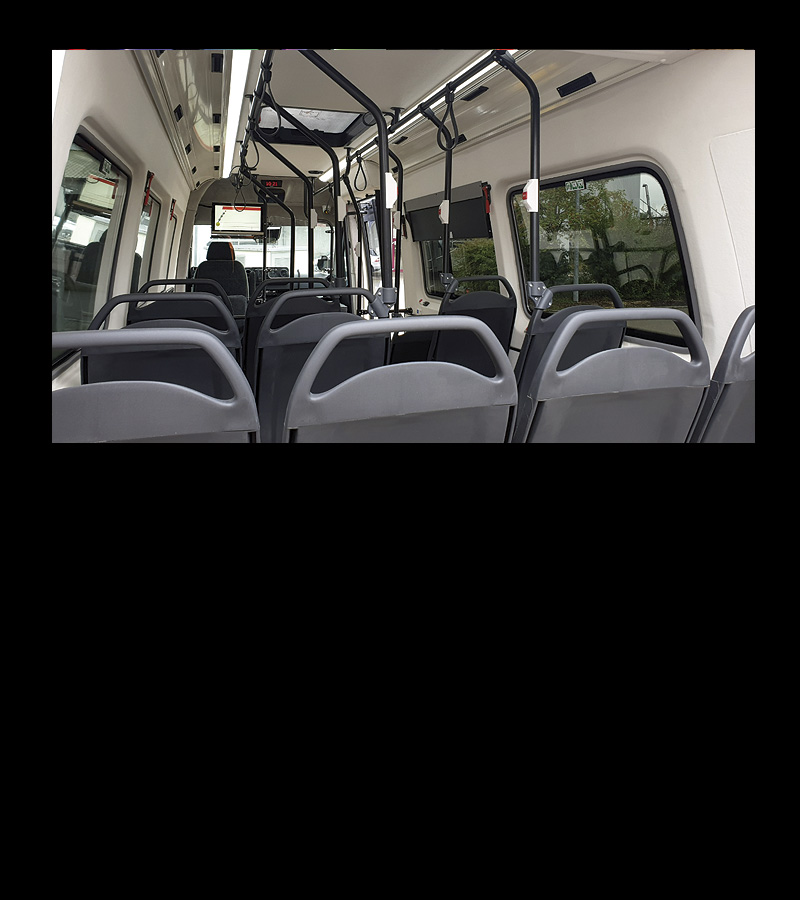 Minibuses especialistas
