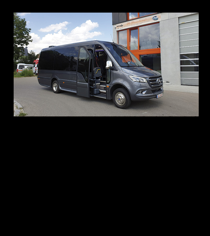empresa minibuses